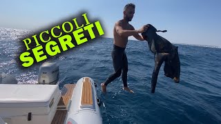 PICCOLI SEGRETI spearfishing  Michele Giurgola [upl. by Tri]