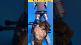 Meat 🍖 under microscope 🔬॥shorts microscope facts meat [upl. by Anitsuj]