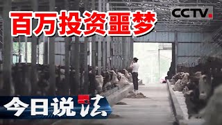 《今日说法》一束玫瑰花 一支口红 四川民营企业家不惜“为爱”投资数百万！20240912  CCTV今日说法官方频道 [upl. by Arahsit]