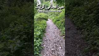 Hiking to Miranjani Summit The Ultimate Galyat KPK Experience 🏔️✨ arabic explore music nature [upl. by Gnuoy]