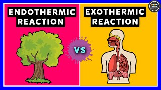 Endothermic Reaction and Exothermic Reaction [upl. by Ennaerb832]