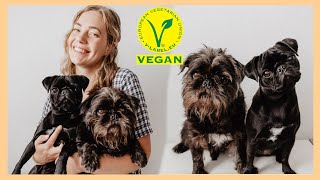 Wir kochen veganes Hundefutter  Veganes Hundefutter selber machen 🐶🥦 [upl. by Jarvey20]