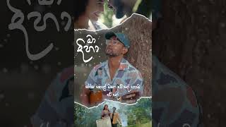 Maa Dihaa බලාපන් සෝබනී මා දිහා cover dilubeats coversongs maadiha balapansobani nora [upl. by Rooker]