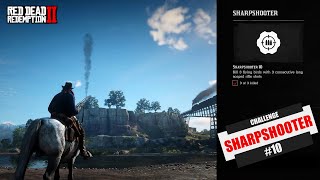 RDR  Sharpshooter 10 Challenge Red Dead Redemption 2 [upl. by Enahs]