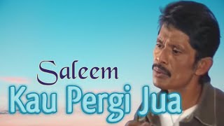 SALEEM  Kau Pergi Jua  Video Lirik [upl. by Eillat902]