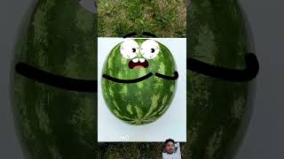 good land goodland watermelon funny doodle doodly fruit satisfying doodletales doodletoons [upl. by Tena]