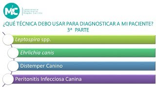 PARTE 3 ¿Qué técnica debo usar para diagnosticar a mi paciente [upl. by Euqimod]