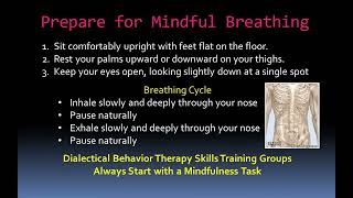 Introduction to Paced Breathing DBT Skills Training [upl. by Ahsyad]