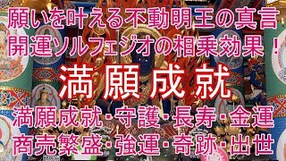 【満願成就】不動明王真言サブリミナルと開運ソルフェジオ相乗効果！あらゆる奇跡が夢や願いを叶える音楽♬引き寄せ・波動共鳴・真言・強運・金運・恋愛・仕事・シンクロニシティ [upl. by Tawsha94]