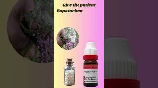 Eupatorium perf Homeopathic Medicine  Eupatorium perf 30  200  benefits Identifying Symptoms [upl. by Adnoyek]