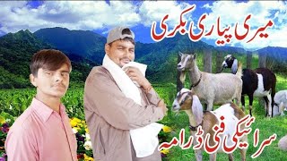 Meri pyari bakrimazhar numbardarnew saraiki funny drama 2024 saraiki TV channel [upl. by Ayle]