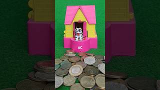 Amazing Piggy Bank collect coin review amp dog house coin collect AC590 money dog shorts [upl. by Iives]