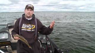 How to Catch Fish with a Bottom Bouncer [upl. by Keelby]