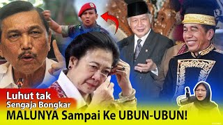 MEGAWATI KETAHUAN WAJAH ASLINYA LUHUT KULITI SAMPAI KE AKARNYA  JOKOWI TEPATI USULAN PRABOWO👏 [upl. by Norvell]