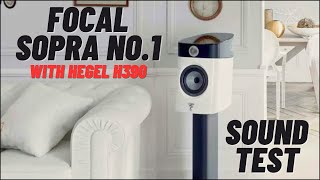 Focal Sopra No 1 Sound Test With Hegel H390 [upl. by Aicak26]