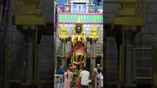 ஆஞ்சநேயருக்கு தங்க ஆபரணங்கள் anjaneyartemple god [upl. by Irej820]