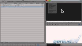 Avid Media Composer Sequence [upl. by Margo]