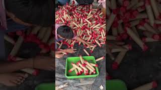 Have you ever wondered how those vibrant Diwali special firecrackers are made from scratch [upl. by Maximilianus343]