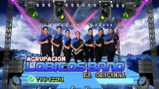 Mix Sombras Lobitos band el original [upl. by Moberg]