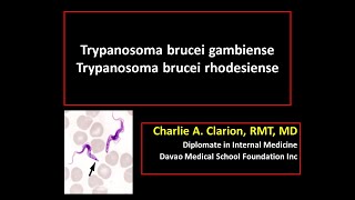 Trypanosoma brucei gambiense and rhodesiense [upl. by Wallache]