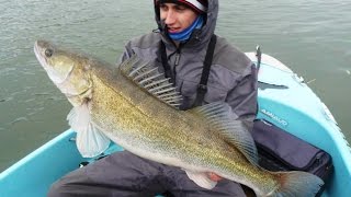 Pêche gros sandre brochet et perche HD Pêche en seine [upl. by Ahsot]