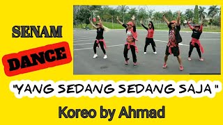 SENAM DANCE quotYANG SEDANG SEDANG SAJA quot REMIX BY IWAN CHOREO BY AHMAD [upl. by Eizus]