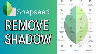 How to Remove Shadow in SnapSeed 2024 [upl. by Cchaddie]