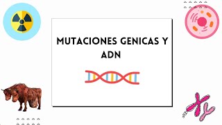 Mutaciones y ADN 101 [upl. by Noryt]