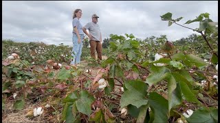 Jefferson County farm feeling the weight of Hurricane Helenes damage [upl. by Delogu]