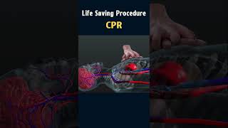 Animated CPR Demonstration Resuscitation in Action cpr lifesavingtips rescue 3danimation viral [upl. by Snehpets]