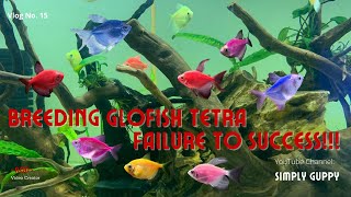 Glofish Tetra Breeding  Vlog 15 [upl. by Ennoira]