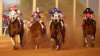 Carreras de Caballos en el Hipodromo de Rayon 04 Octubre 2020 [upl. by Sybil]