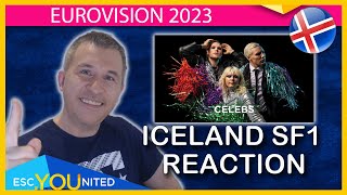 Söngvakeppnin 2023 SemiFinal 1 REACTION amp Top 5  Iceland Eurovision 2023 [upl. by Nor242]