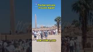 Discover The Sacred Lake in Luxor Egypt – Hidden Gem shorts TheSacredLakeLuxo [upl. by Elfstan]