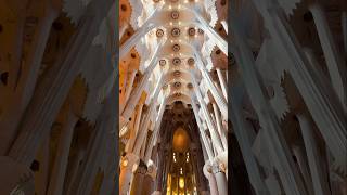 Inside of Sagrada Familia barcelona spain travel [upl. by Terryl250]