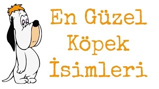 En İyi 30 Güzel Köpek İsmi  2 [upl. by Atok450]