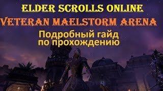 The Elder Scrolls Online 141  Veteran Maelstorm Arena Подробный гайд [upl. by Rumpf537]