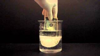 The Difference Between Hydrophilic and Hydrophobic [upl. by Anauqes]