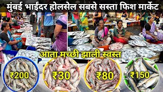 Mumbai Mira Bhayandar Fish Market  Bhayandar Wholesale Fish Market  Bhayandar Fish Market [upl. by Aduh]