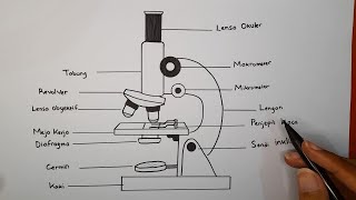 Cara Menggambar Mikroskop Beserta Keterangannya [upl. by Eutnoj]