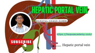 Hepatic Portal Vein [upl. by Nyrok157]