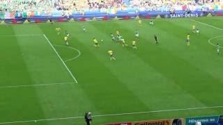 Fan Footage  Wes Hoolahans Goal  Ireland 11 Sweden Euro 2016 Stade de France [upl. by Derrej]