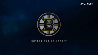 NESN  2014 NHL Bruins Hockey Intro [upl. by Assirak43]