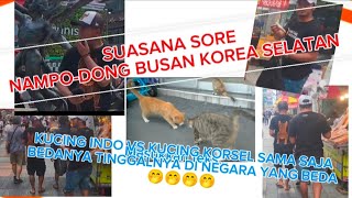 4K WALK  SUASANA SORE DI NAMPODONG BUSAN KOREA SELATAN [upl. by Taimi977]