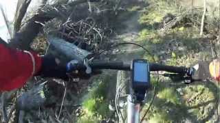 Mountain biking Lake Guntersville State Park Tom Bevill Trail [upl. by Aldin92]