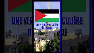 LHistoire du Drapeau de la Palestine drapeau histoire culture education palestine [upl. by Ayle759]