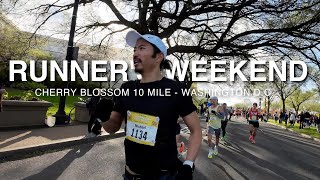 Runners Weekend  Cherry Blossom 10 Mile 2023 Washington DC [upl. by Dachia243]