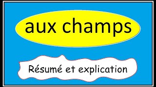 aux champs  résumé et explication [upl. by Rybma]