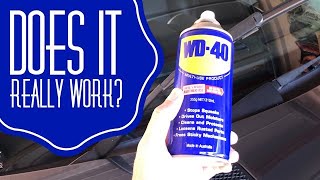 WD40 Hack on Wiper Blades Does it really work [upl. by Stormy]