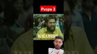 pushp2 pushpa alluarjun pushapa2 pusha pushpamovie shdj7 [upl. by Osnerol]